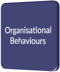 Organisational Behaviours